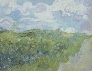 Vincent Van Gogh, Green Wheat Fields (nn04)